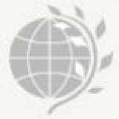 Человек в пространстве языка