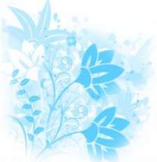 Светлана Владимировна Васина