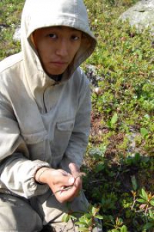 дмитрий николаевич ринчинов