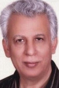 Abdelmonem Mohamed Amer