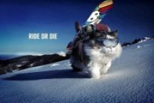 Владимир Александрович Смирнов