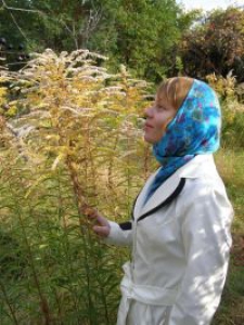 Татьяна Владимировна Кутовая