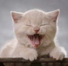 Боб Art_Bob@ukr.net 