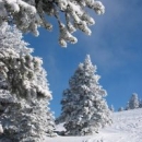 Железнякова Светлана Валерьевна