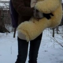 Забалуева Александра Николаевна