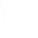 Борисов Илья Леонидович