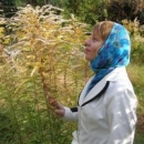 Кутовая Татьяна Владимировна