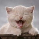  Боб Art_Bob@ukr.net